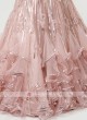 Designer Gown In Peach